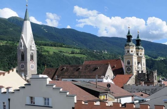 buschenschank-haidnerhof-brixen-suedtirol (30)