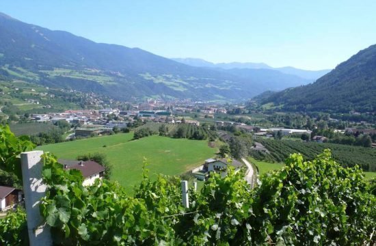 buschenschank-haidnerhof-brixen-suedtirol (34)